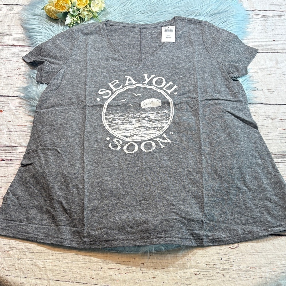 NWT A Pea In The Pod Materity Sea You Soon Grey V Neck Tee sz L